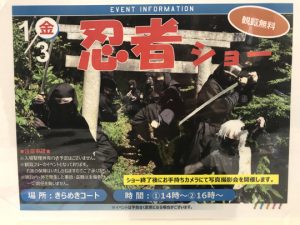 Ninja Show in Imabari 2020
