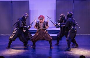 Ninja show Osaka