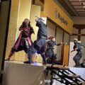 Ninja Show