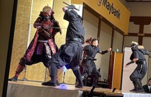 Ninja Show