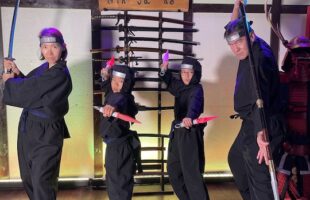 Ninja Experience